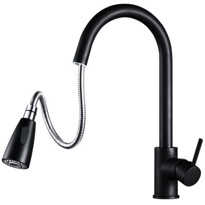 Kitchen faucet wall mount price  zinc sprayer for daily use